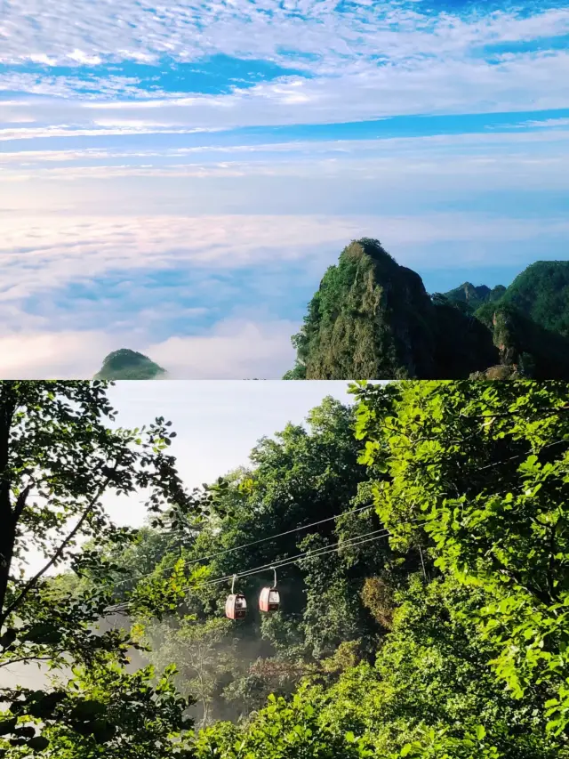 파라산에서 고대 도사들의 수련지를 탐험해 보세요!