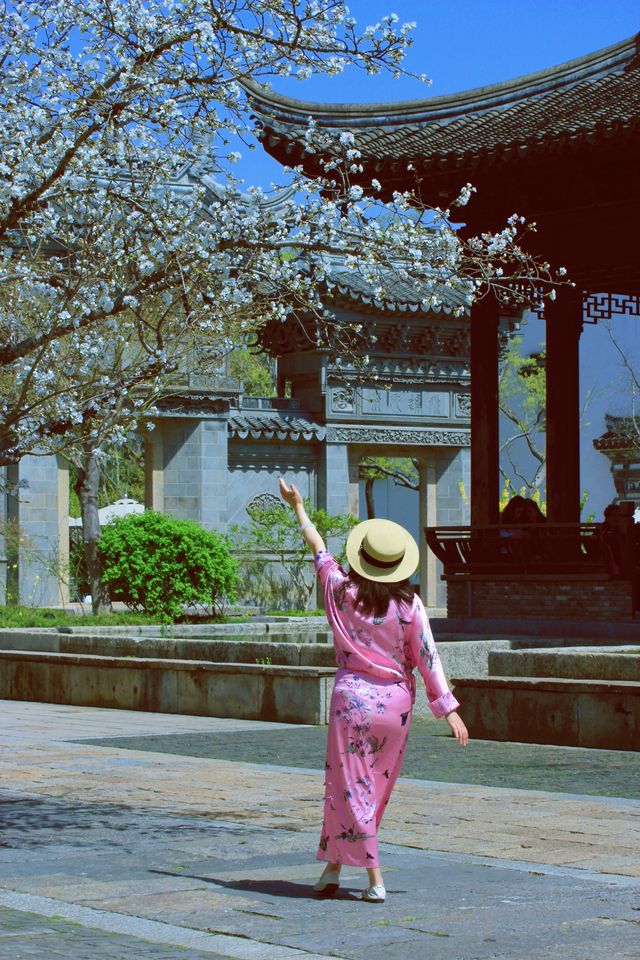 這就是櫻花嘅中式美學天花板，無錯！