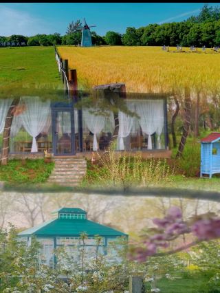 Only Beautiful for 30 Days a Year: Yangzhou Blossom Trip with Kids During Qingming Festival