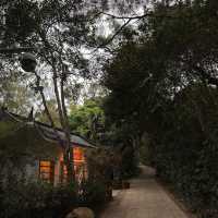 🍵深圳新晉擺爛聖地 | 筆架山公園茶館✨