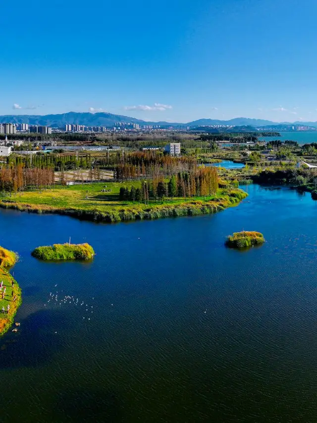 Dianchi Greenway Bus Guide || Exploring Dianchi (8)