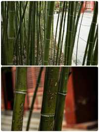 佛光汴梁穿越指南！大相國寺保姆級攻略