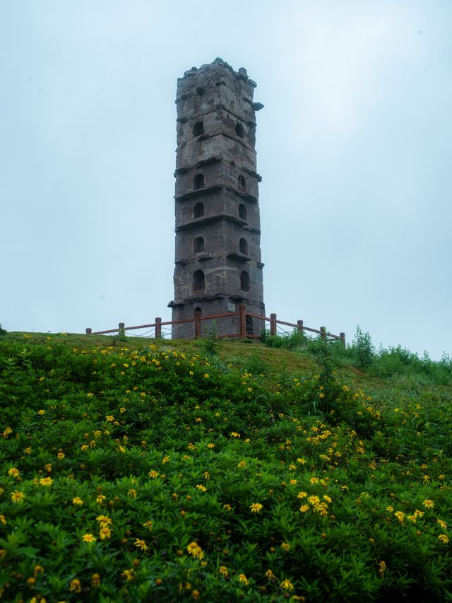 跟「滷鵝哥」來一趟家鄉遊，為你推薦高鐵直達的寶藏小城