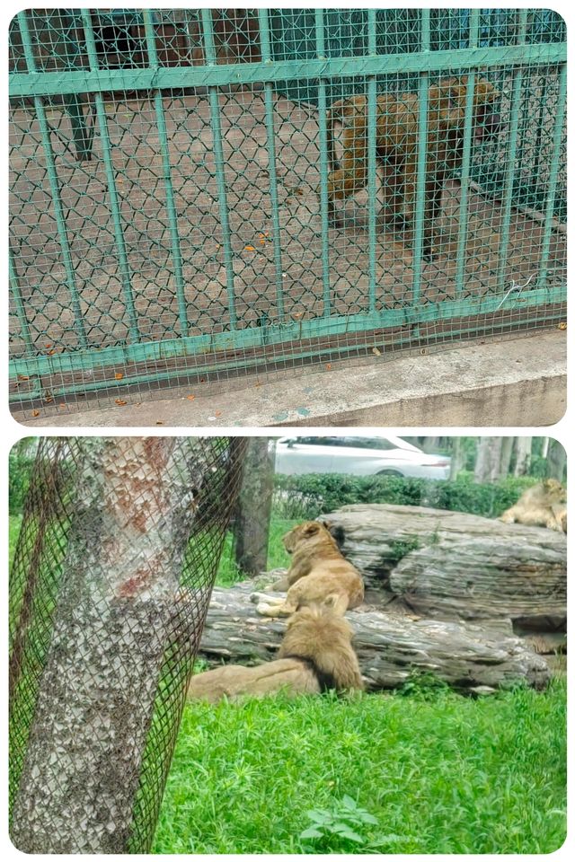秦皇島 | 野生動物園