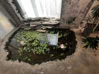 Shenzhen Contemporary Art Spaces | tnt | 