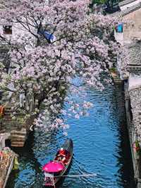 紹興旅遊攻略 魯迅故里