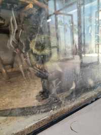 蘭州野生動物園攻略！看萌獸逛海洋，親子遊必打卡