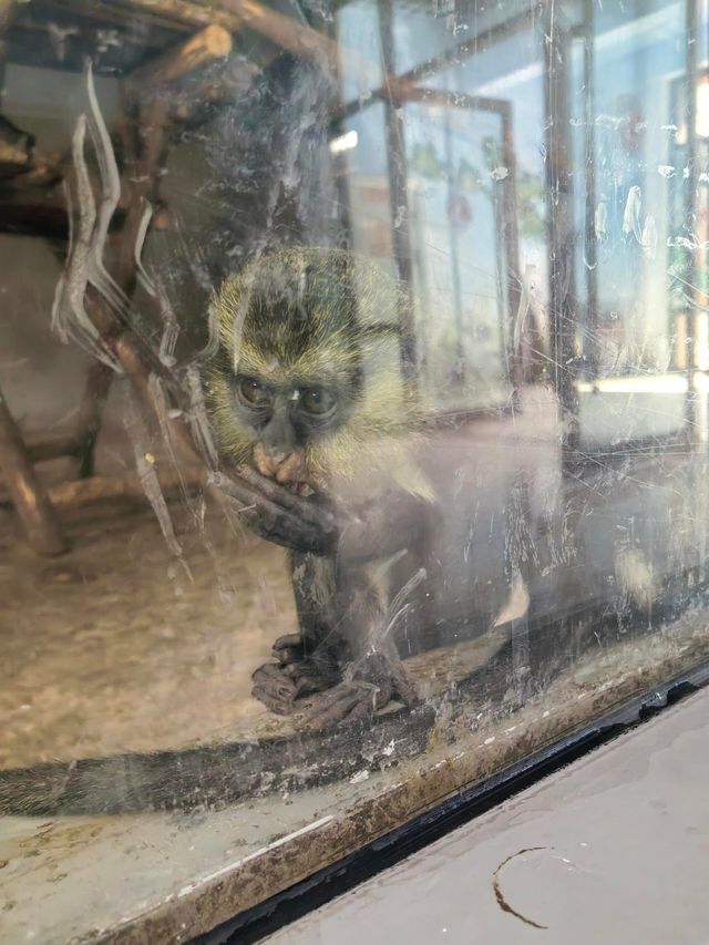 蘭州野生動物園攻略！看萌獸逛海洋，親子遊必打卡