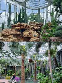 上海溫室花園｜瘋狂植物城簡直超超超超級出片！！！
