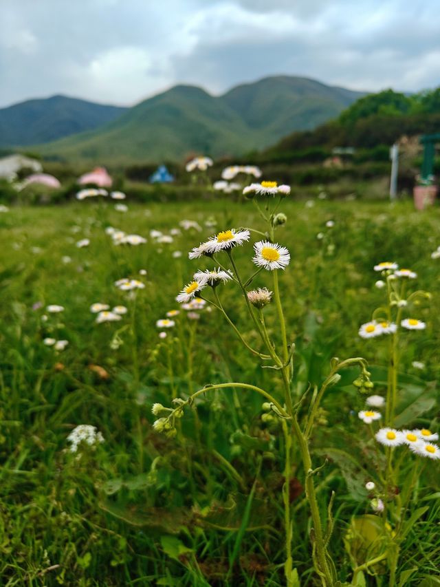 莫干山隱藏玩法人少到離譜附路線