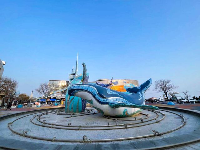 青島•極地海洋公園|吃喝玩樂必打卡