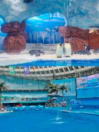 成都極地海洋公園
