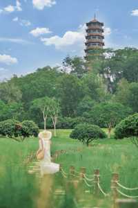 地鐵直達嘅綠色誤入宮崎駿漫畫裏面嘅夏天