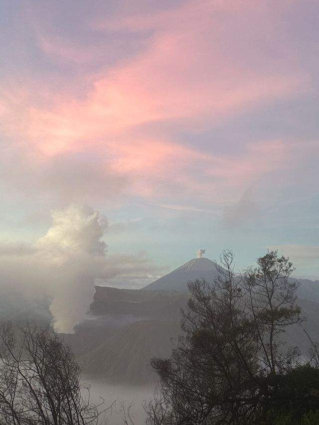 Bromo火山Lonely Planet嘅呢一頁
