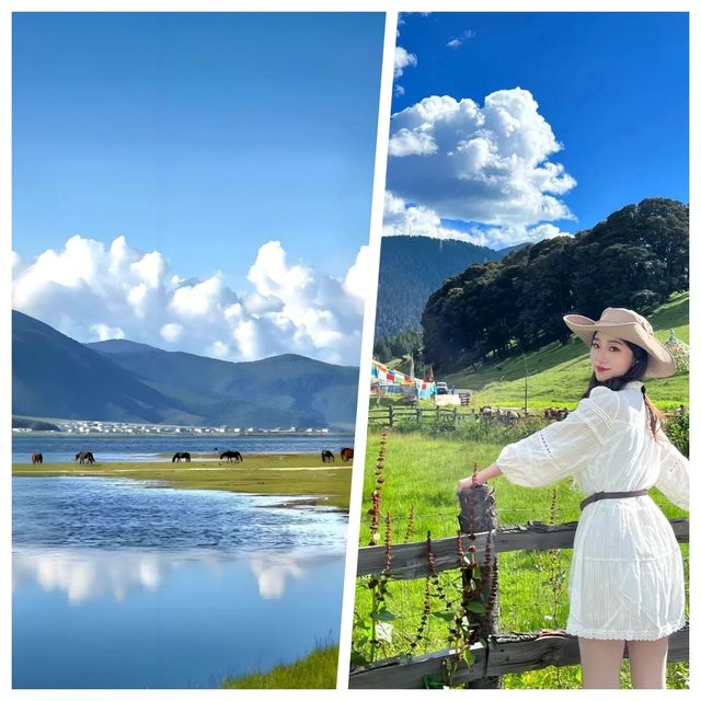 香格里拉真係太靚啦，但係唔建議5-6月去，因為......