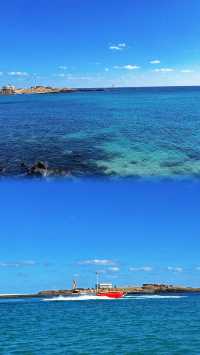 牛島| 苦盡柑來遇見你