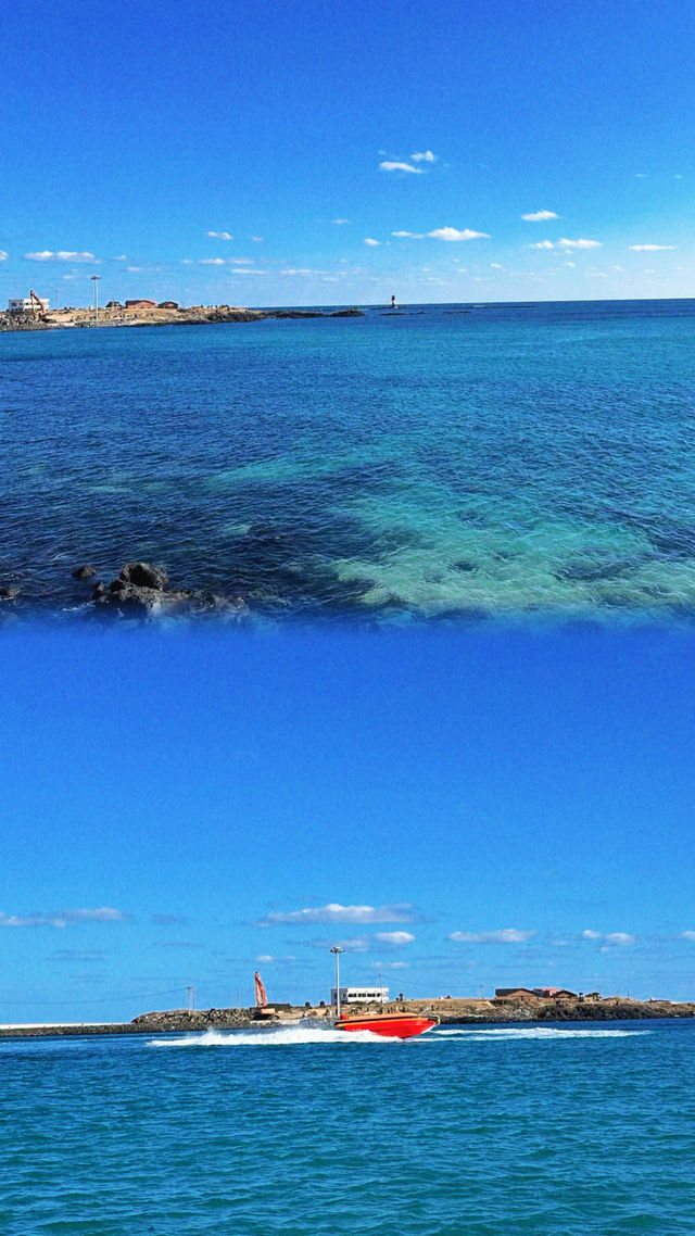 牛島| 苦盡柑來遇見你