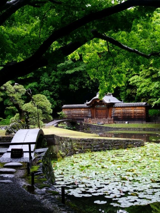 東京小石川後樂園交通全攻略：鬧中取靜的悠然秘境