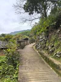 《山靄深處：與簷角苔衣的千年私語》