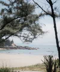 浯屿島：一個能治癒心靈的漳州海島