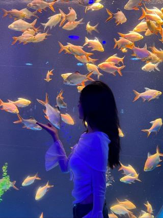 Xiangyang Girls' Trip | Happy Moments at Yuelai Hotel