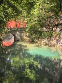 邂逅九龍池，定格時光中的詩意山水
