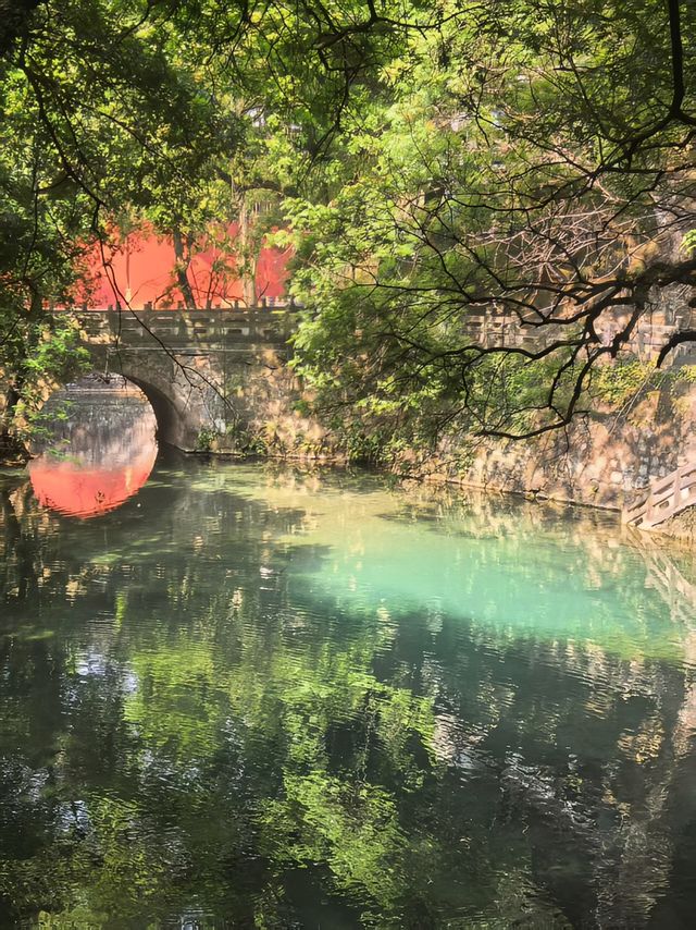 邂逅九龍池，定格時光中的詩意山水