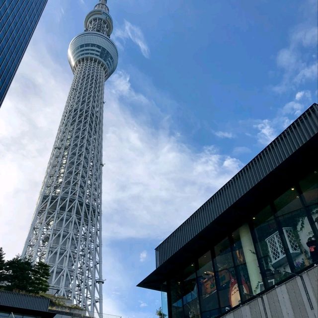 ✨晴空塔下吉卜力共和國！一入門就見龍貓公仔萌到尖叫～