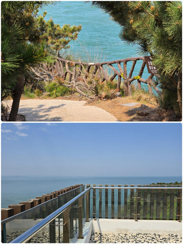 第一次去雞鳴島，切記唔好跟團