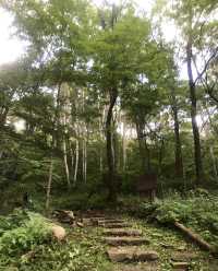 登頂白雞峰1314米
