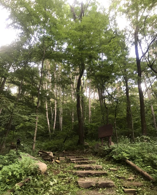 登頂白雞峰1314米