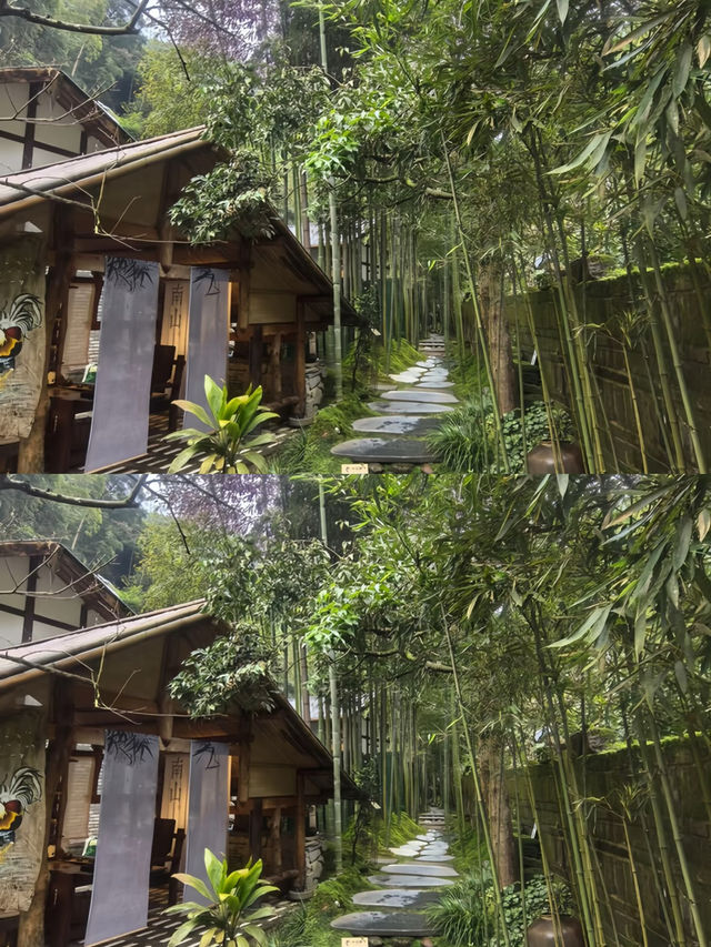 成都邛崃！山林小院！已經三刷太chill啦～