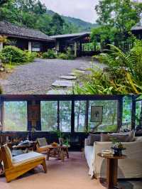 住進森林裡嘅小木屋吹風發呆做白日夢