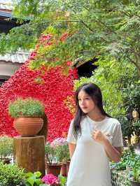 喺麗江，我住進咗一幅水墨畫！竹榭庭呢個院子真係絕咗~
