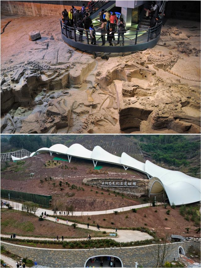 穿越1.8億年的奇幻之旅！雲陽恐龍化石地質公園攻略