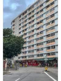 香港旅行保姆級攻略出發前必睇