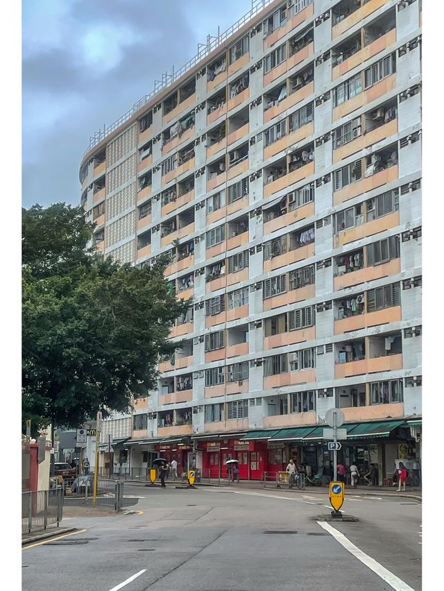 香港旅行保姆級攻略出發前必睇