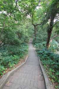 廣州週末去邊度玩？呢8個免費公園，快啲安排！