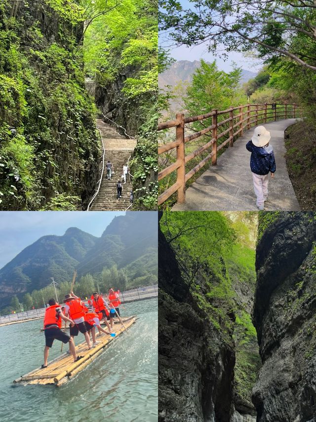 野三坡返嚟啦，講啲難聽嘅大實話