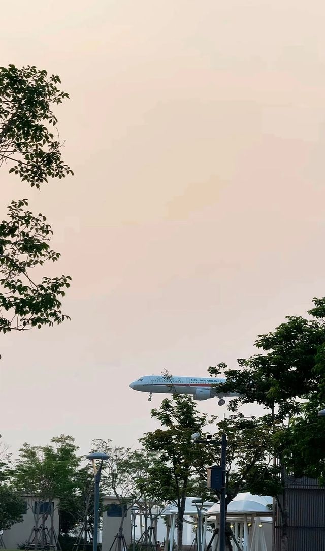 廈門遛娃太幸福了又多咗個好去處「花嶼悅海園」