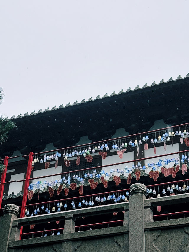 雨中漫步徑山寺 | 無它心舍48小時禪意時光