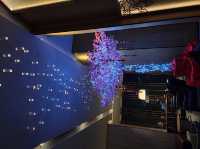 曼谷諾富特酒店 | Novotel Bangkok Sukhumvit 20   酒店評分優越