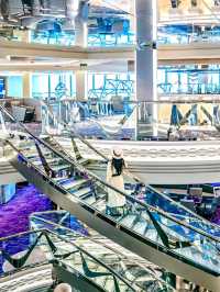 👋My Dream Trip on MSC Bellissima