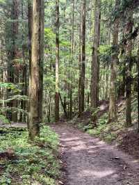 舊中山道｜馬籠宿-妻籠宿-南木曾（附攻略）