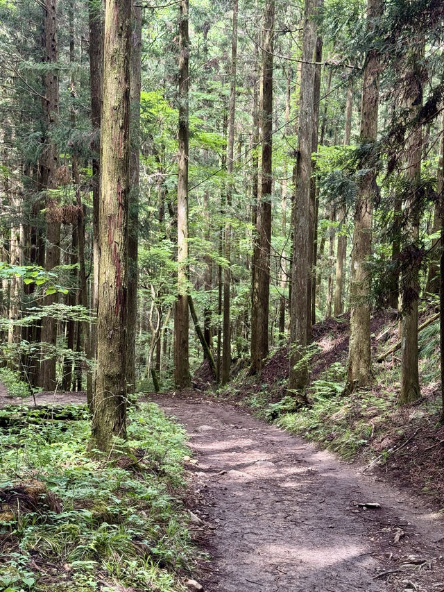 舊中山道｜馬籠宿-妻籠宿-南木曾（附攻略）