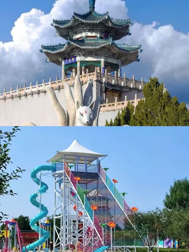 淄博返嚟啦，真係要勸多個得個！