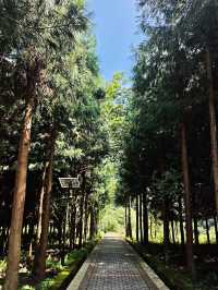 週末輕鬆行山推薦-雲南綏江大團岩