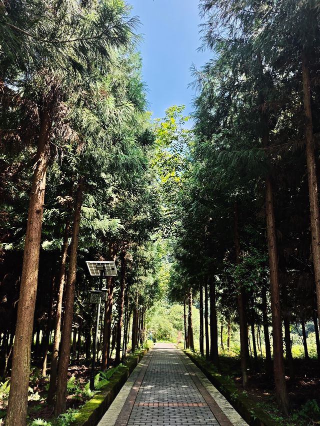 週末輕鬆行山推薦-雲南綏江大團岩