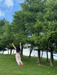 宜昌「小阿勒泰」嘅夏日童話！