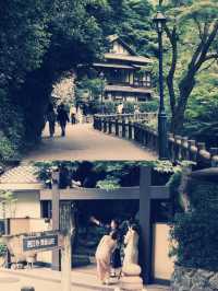 **【穿越千年古都！大阪瀧安寺靜心體驗全記錄】**  
